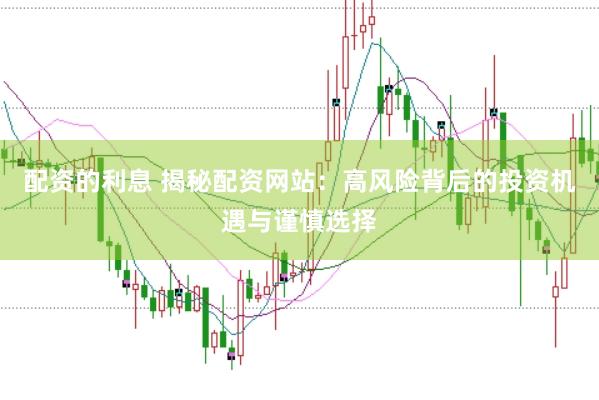 配资的利息 揭秘配资网站：高风险背后的投资机遇与谨慎选择