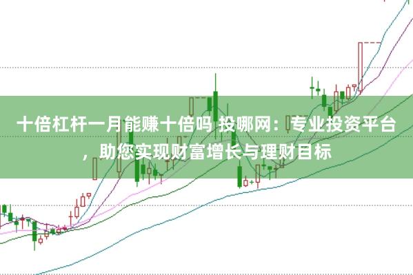 十倍杠杆一月能赚十倍吗 投哪网：专业投资平台，助您实现财富增长与理财目标