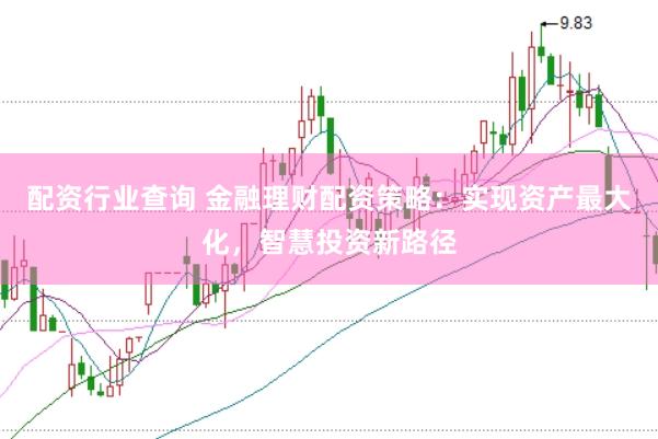 配资行业查询 金融理财配资策略：实现资产最大化，智慧投资新路径