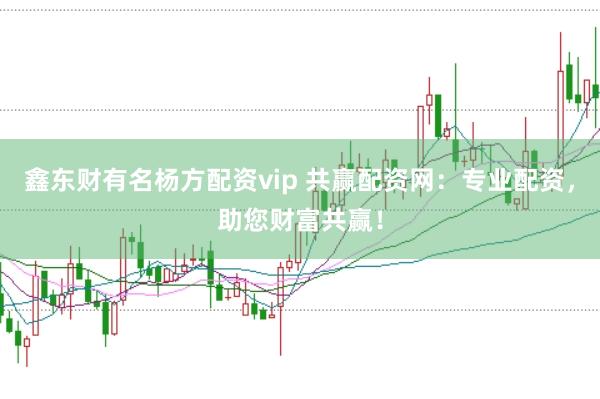 鑫东财有名杨方配资vip 共赢配资网：专业配资，助您财富共赢！