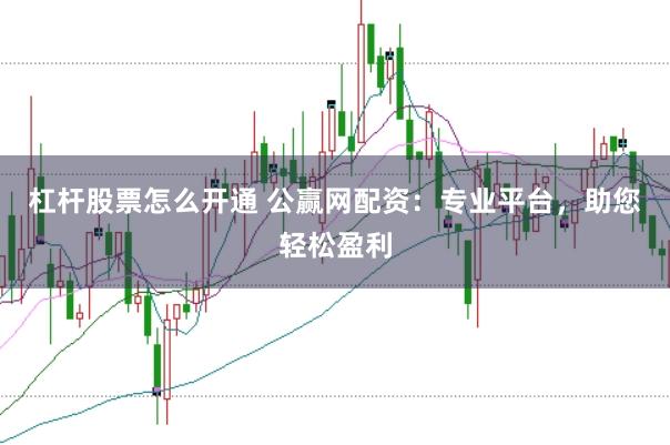 杠杆股票怎么开通 公赢网配资：专业平台，助您轻松盈利