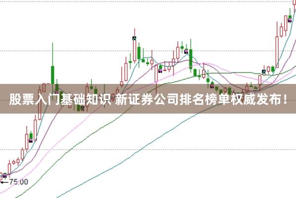 股票入门基础知识 新证券公司排名榜单权威发布！