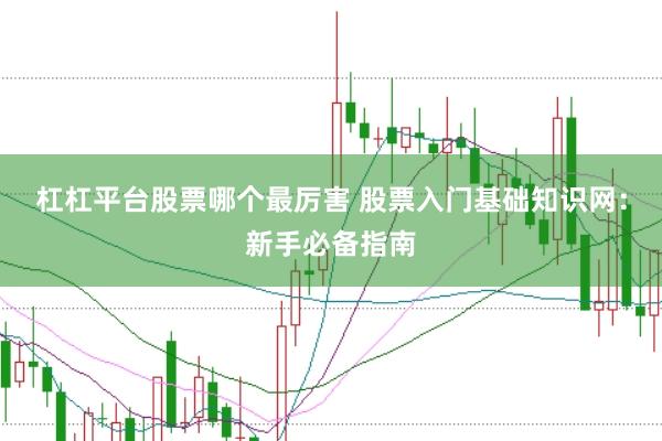杠杠平台股票哪个最厉害 股票入门基础知识网:新手必备指南