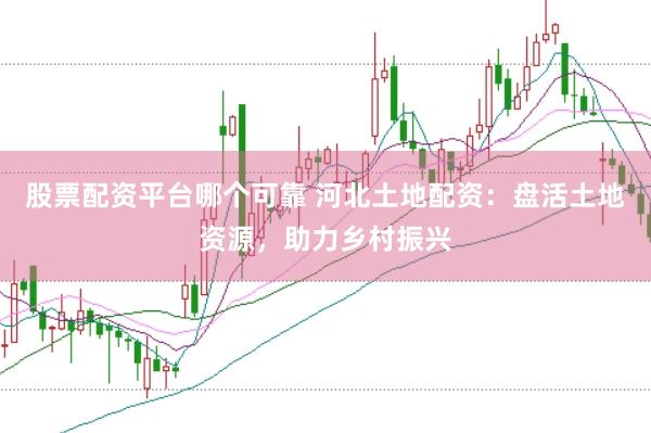 股票配资平台哪个可靠 河北土地配资：盘活土地资源，助力乡村振兴