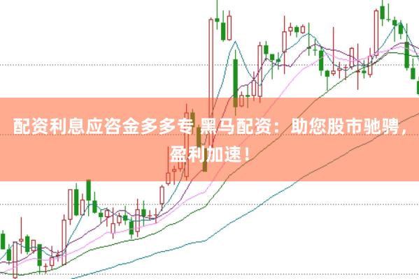 配资利息应咨金多多专 黑马配资：助您股市驰骋，盈利加速！