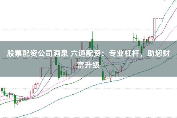 股票配资公司酒泉 六道配资：专业杠杆，助您财富升级