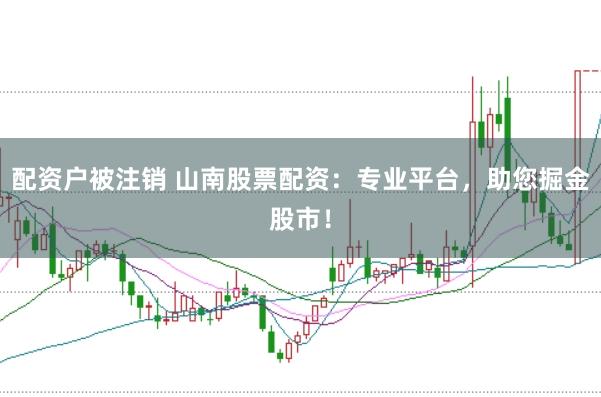 配资户被注销 山南股票配资：专业平台，助您掘金股市！