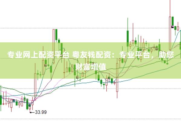 专业网上配资平台 粤友钱配资：专业平台，助您财富增值