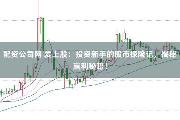 配资公司网 爱上股：投资新手的股市探险记，揭秘赢利秘籍！