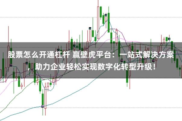 股票怎么开通杠杆 赢壁虎平台：一站式解决方案，助力企业轻松实现数字化转型升级！