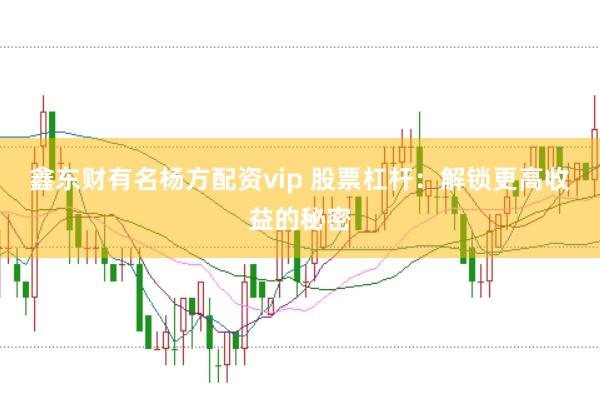 鑫东财有名杨方配资vip 股票杠杆：解锁更高收益的秘密