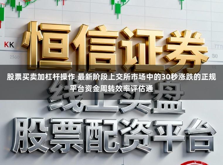 股票买卖加杠杆操作 最新阶段上交所市场中的30秒涨跌的正规平台资金周转效率评估通