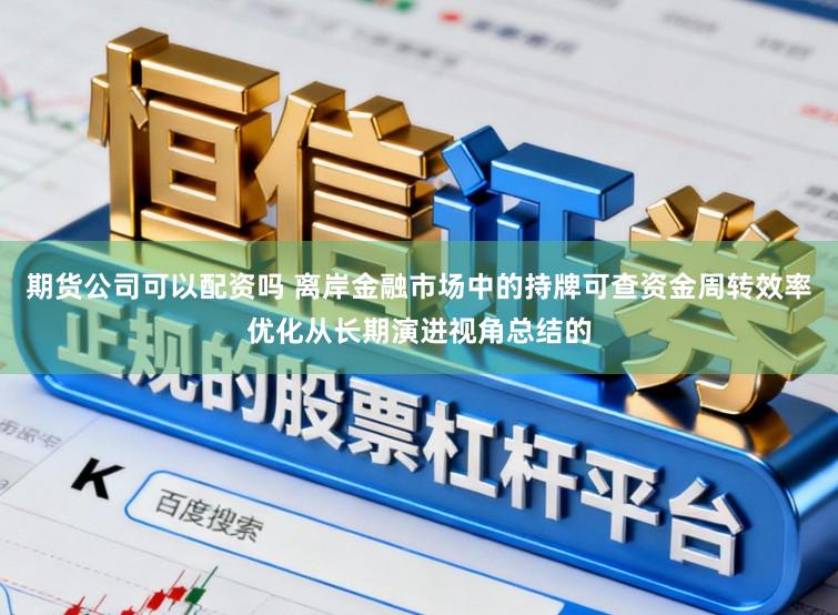 期货公司可以配资吗 离岸金融市场中的持牌可查资金周转效率优化从长期演进视角总结的