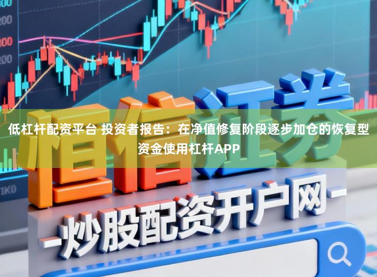 低杠杆配资平台 投资者报告：在净值修复阶段逐步加仓的恢复型资金使用杠杆APP