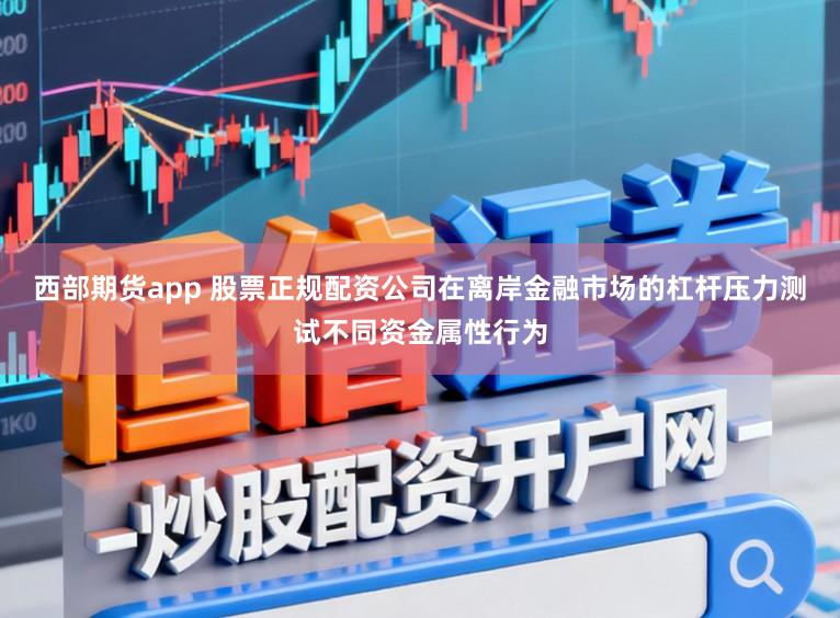 西部期货app 股票正规配资公司在离岸金融市场的杠杆压力测试不同资金属性行为