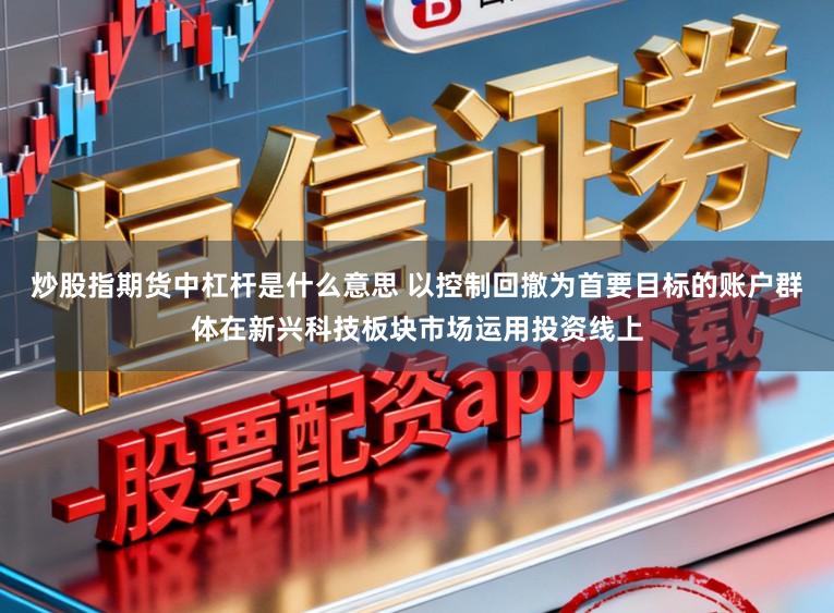 炒股指期货中杠杆是什么意思 以控制回撤为首要目标的账户群体在新兴科技板块市场运用投资线上