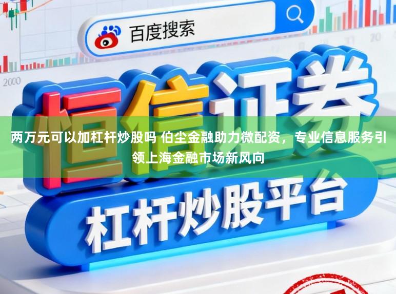 两万元可以加杠杆炒股吗 伯尘金融助力微配资，专业信息服务引领上海金融市场新风向