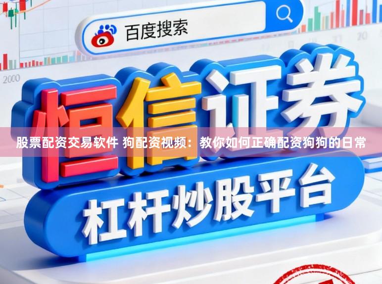 股票配资交易软件 狗配资视频：教你如何正确配资狗狗的日常